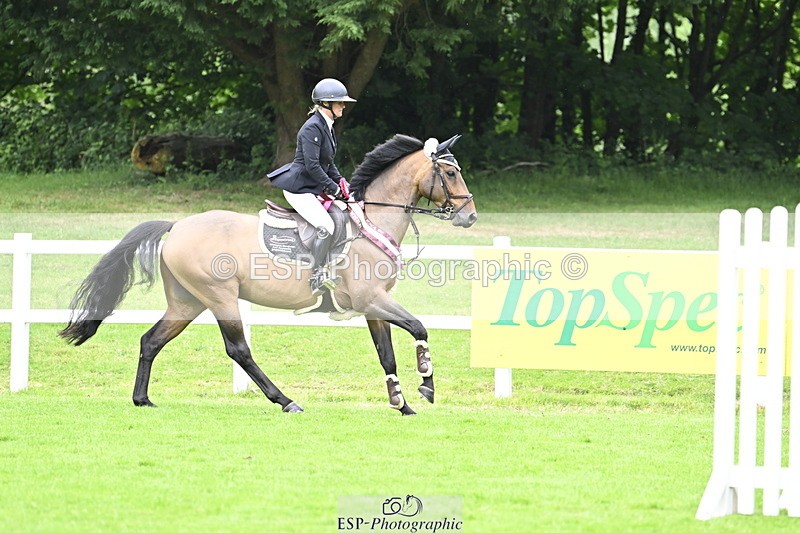 250613A-135836-02429 - Cls 3 Snr Foxhunter