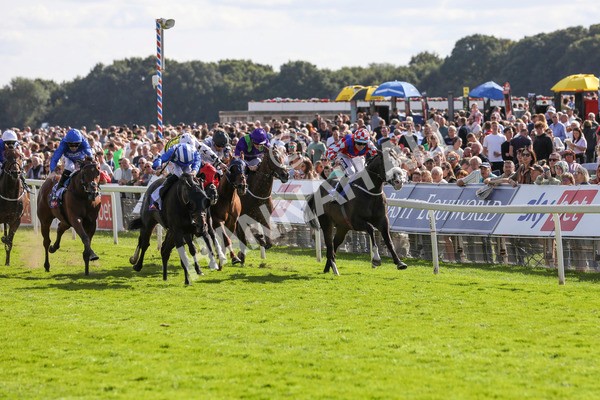 240824-Race 5-Elmonjed-9164 - Race 5 4.10pm Sky Bet Constantine Handicap