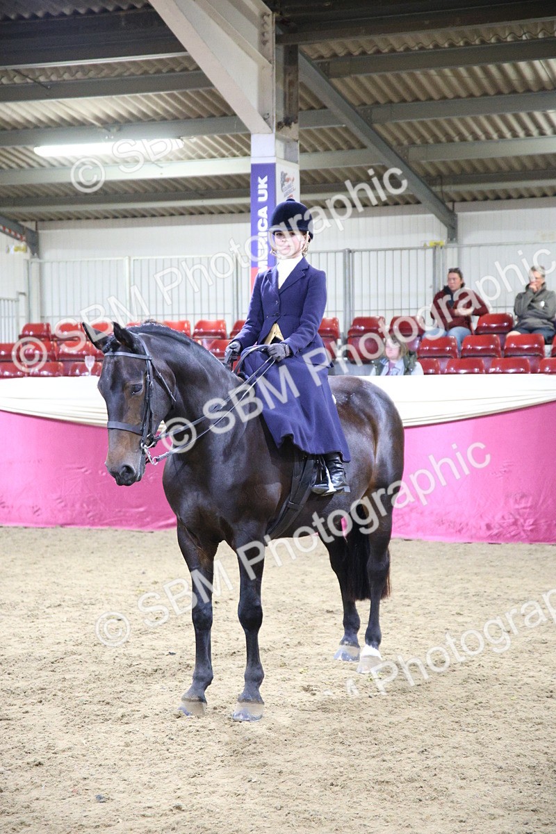 5K7A1505 - Class L Side Saddle Champ