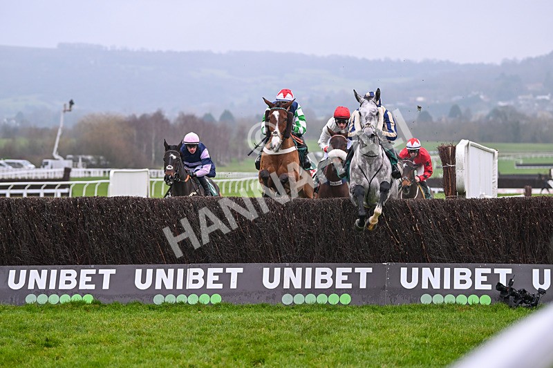 131224-Race 4-King Turgeon-9096 - Race 4