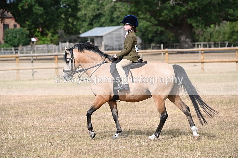 WJ6_7472 - Class 9 Tack and Turnout