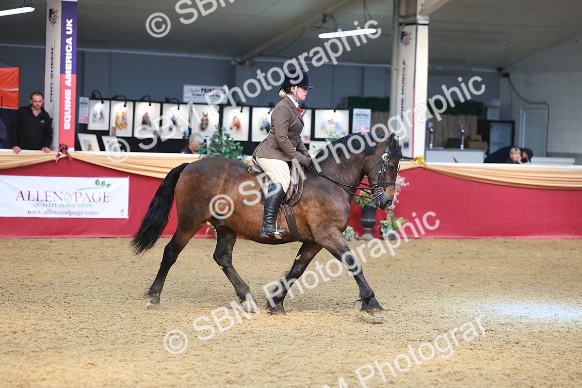 SBM_10641 - Class 103 - HOYS Veteran Qualifier - Ridden Pre Vet