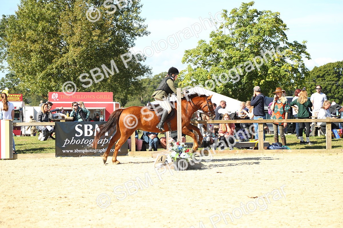 SBM_39311 - J6 - Junior Pony 55cm Championships