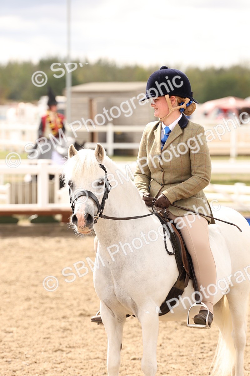 SBM_05184 - Class 56b -  Style & Performance - 50cm (20+)