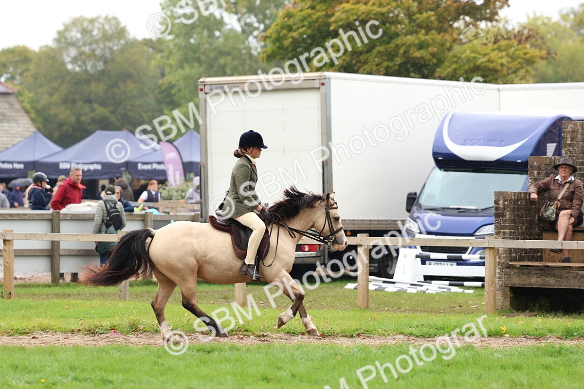 SBM_69637 - S62 - Mountain & Moorland Ridden Large Breeds