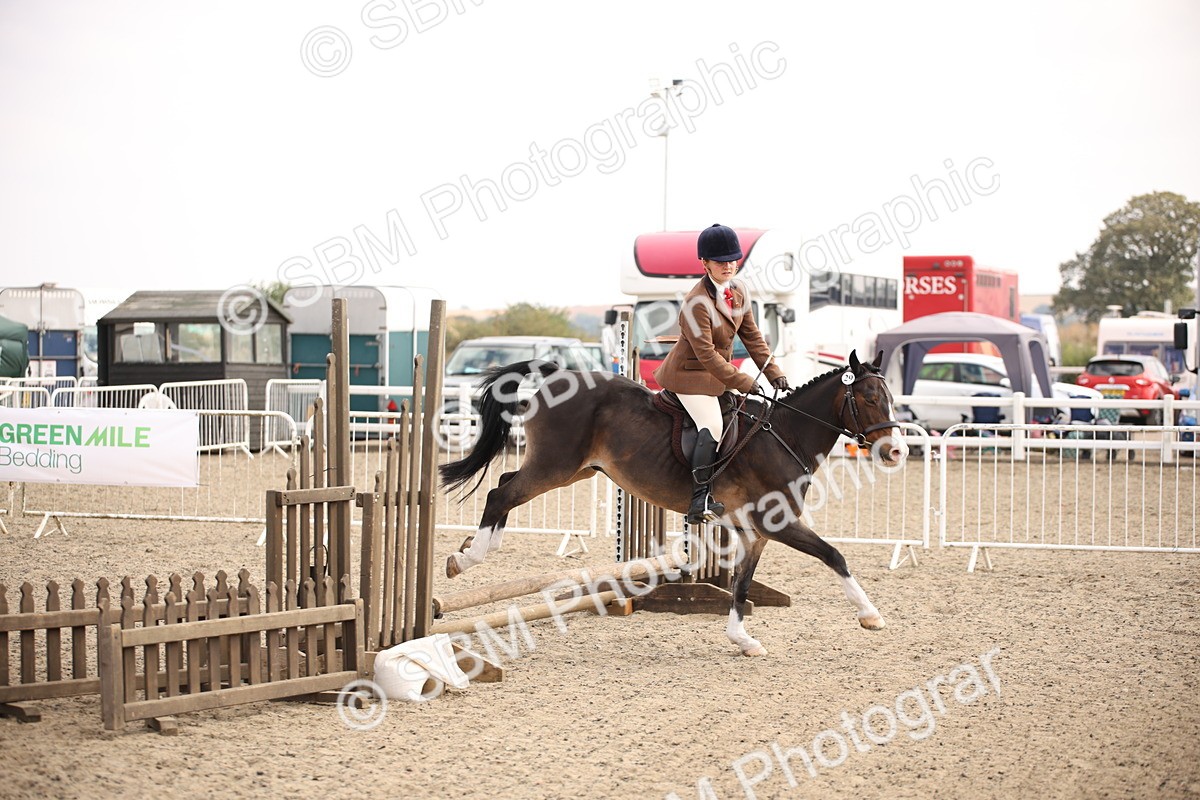 SBM_13562 - Class 406b - Working Veteran 50cm (20+)