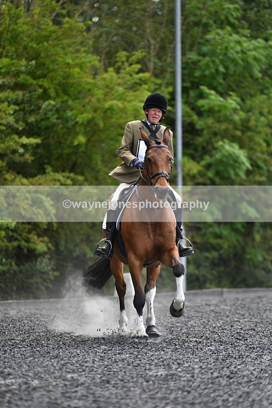 WJ5_0940 - Time 13:04 to 13:42