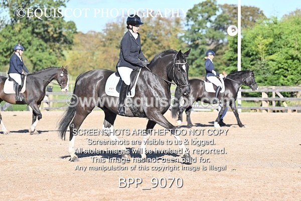 BPP_9070 - LONG ARENA