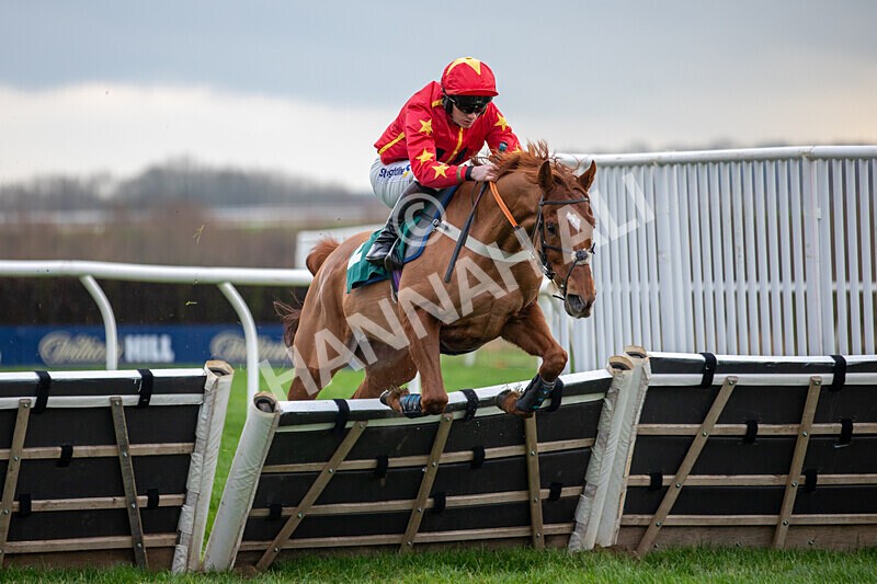 171224-Race 4-Wise Eagle-0162 - Race 4