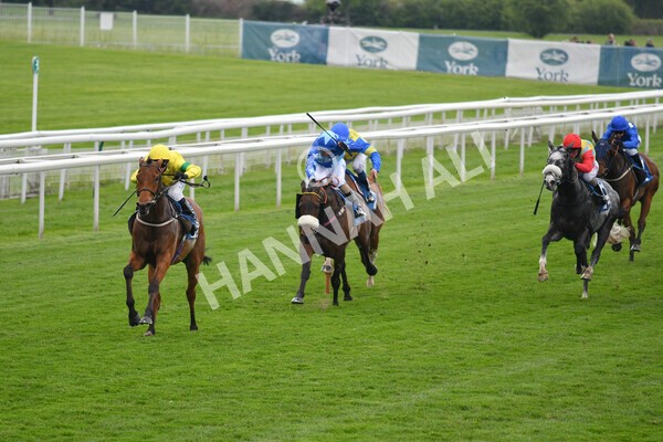 yr14052021r5-28 - Race 5 3.40pm The Jigsaw Sports Branding Handicap