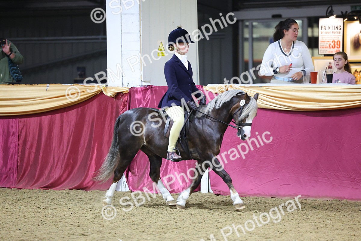 0B8A4645 - Class R Working Veteran Champ