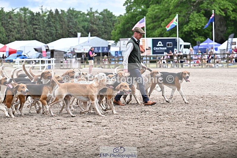 250524A-152216-12693 - East Devon Hounds