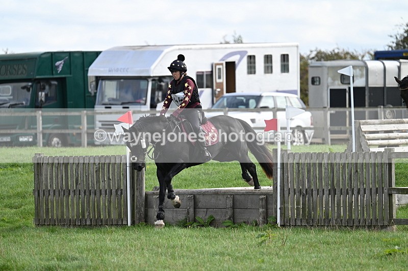 WJ7_8322 - 60cm Pairs