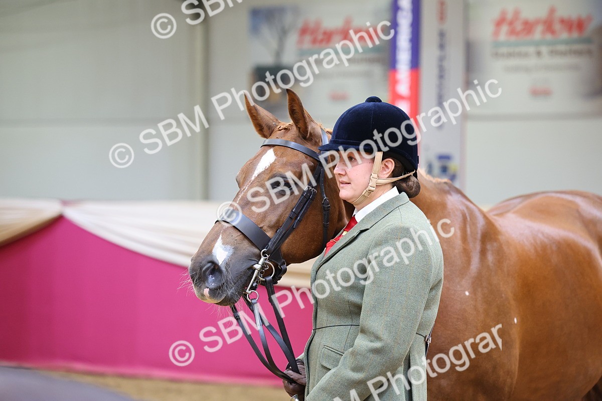 SBM_22741 - Class 903 - Supreme Final - IH Pre Vet