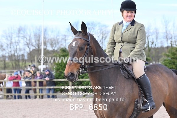 BPP_6850 - RING 1  (RIDDEN HORSES / IN HAND / VETERAN ETC)