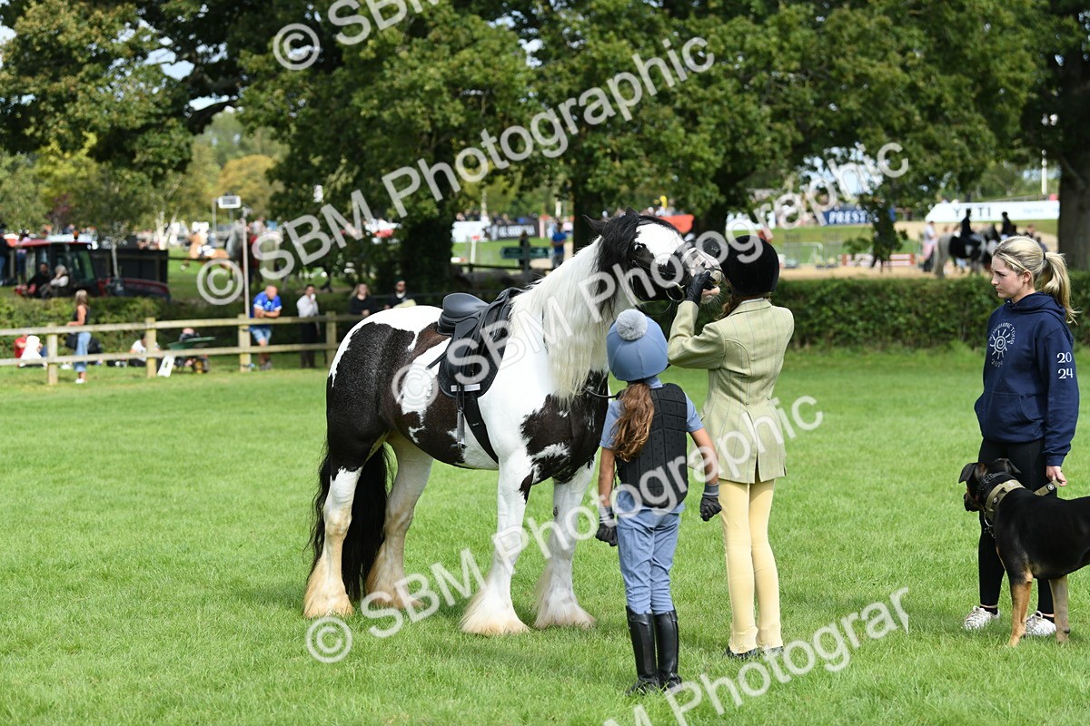 SBM_46949 - S12 - Family Horse & Pony