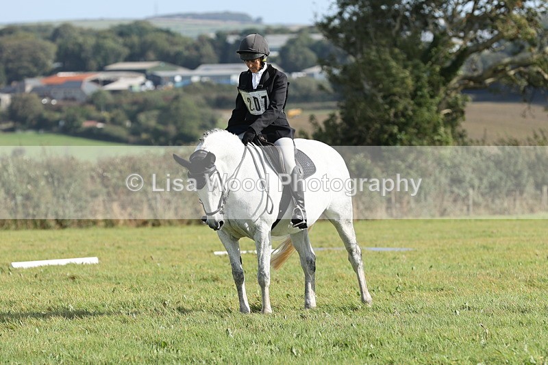 JPP_8100 - Class 2A: Trekenning Open: Dressage