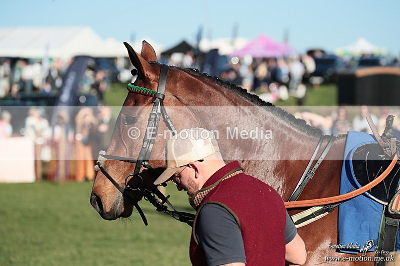 PtP 210326 1149 - VWH Cirencester Races 21/03/26