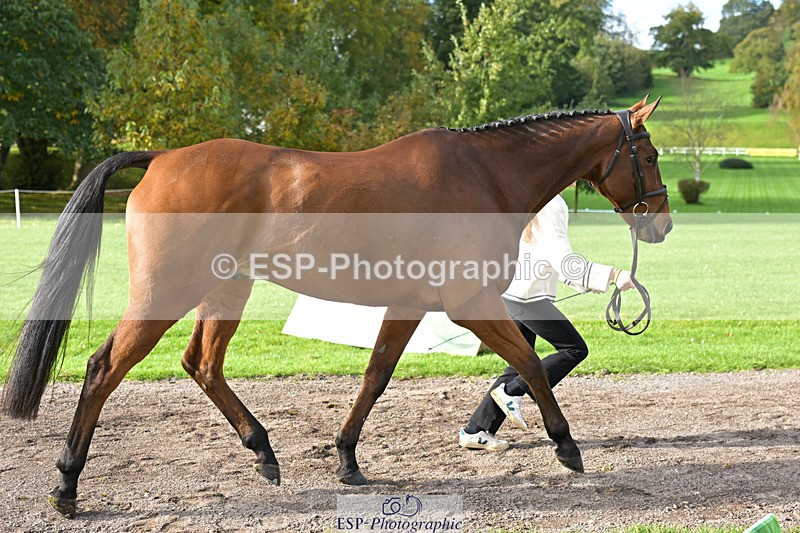 241023-131816-00195 - 011-Carla.Williamson-GOLDMAN