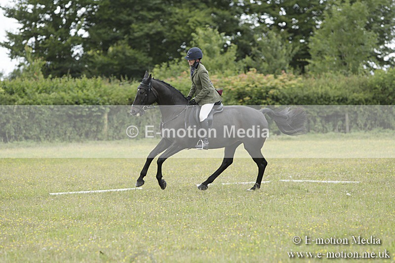 BVR160717-2033 - Class 4 & 5 Dressage 16/07/17