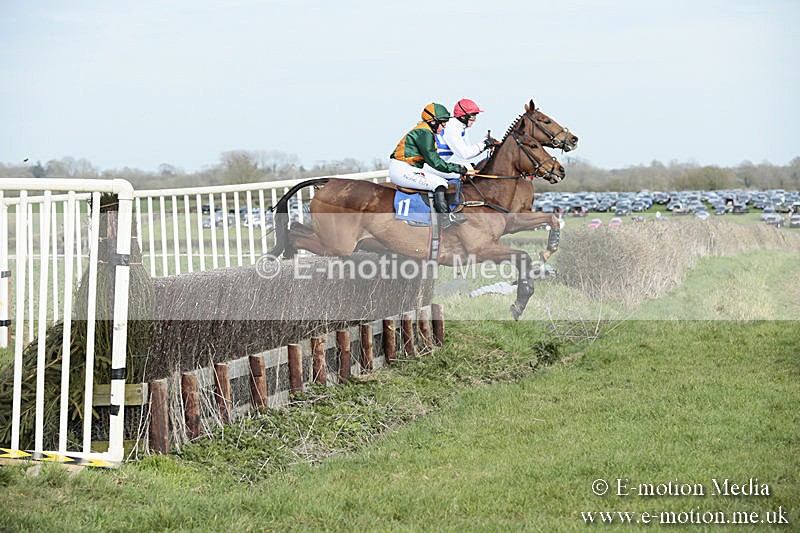 PtP 230319 339 - VWH Hunt Siddington Point-to-Point Racing 23/03/19