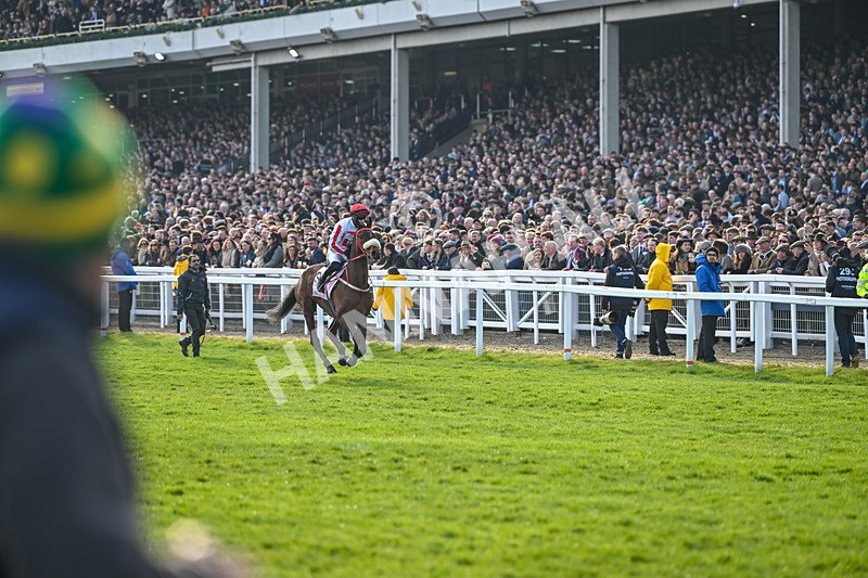 140325-The Real Whacker-WR-5427