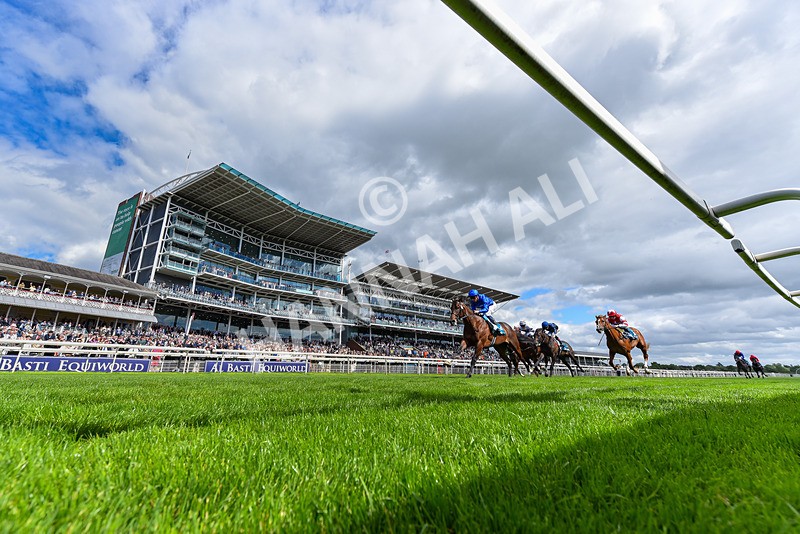 130626-Race 5-Inner City Blues-0389 - Race 5 16.15pm Tomahawk Restaurants Supporting Macmillan EBF Maiden Stakes