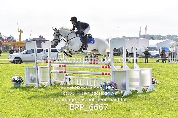 BPP_6667 - CLASS 2 RHS Classic Champ Qual (1.20m)