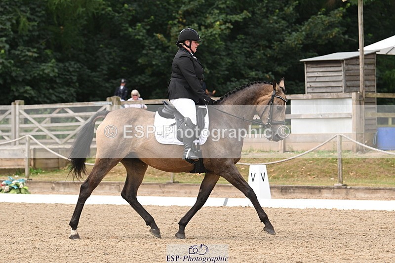 250719A-104342-03997 - 127-Jocelyn.Gilmore-Spring.Lily