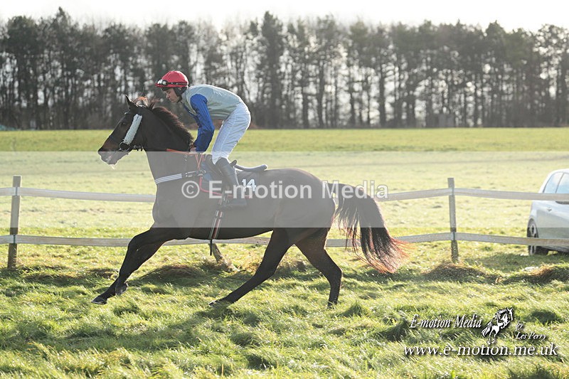 PtP 101223 998 - New Forest Hounds PtP Larkhill 10/12/23