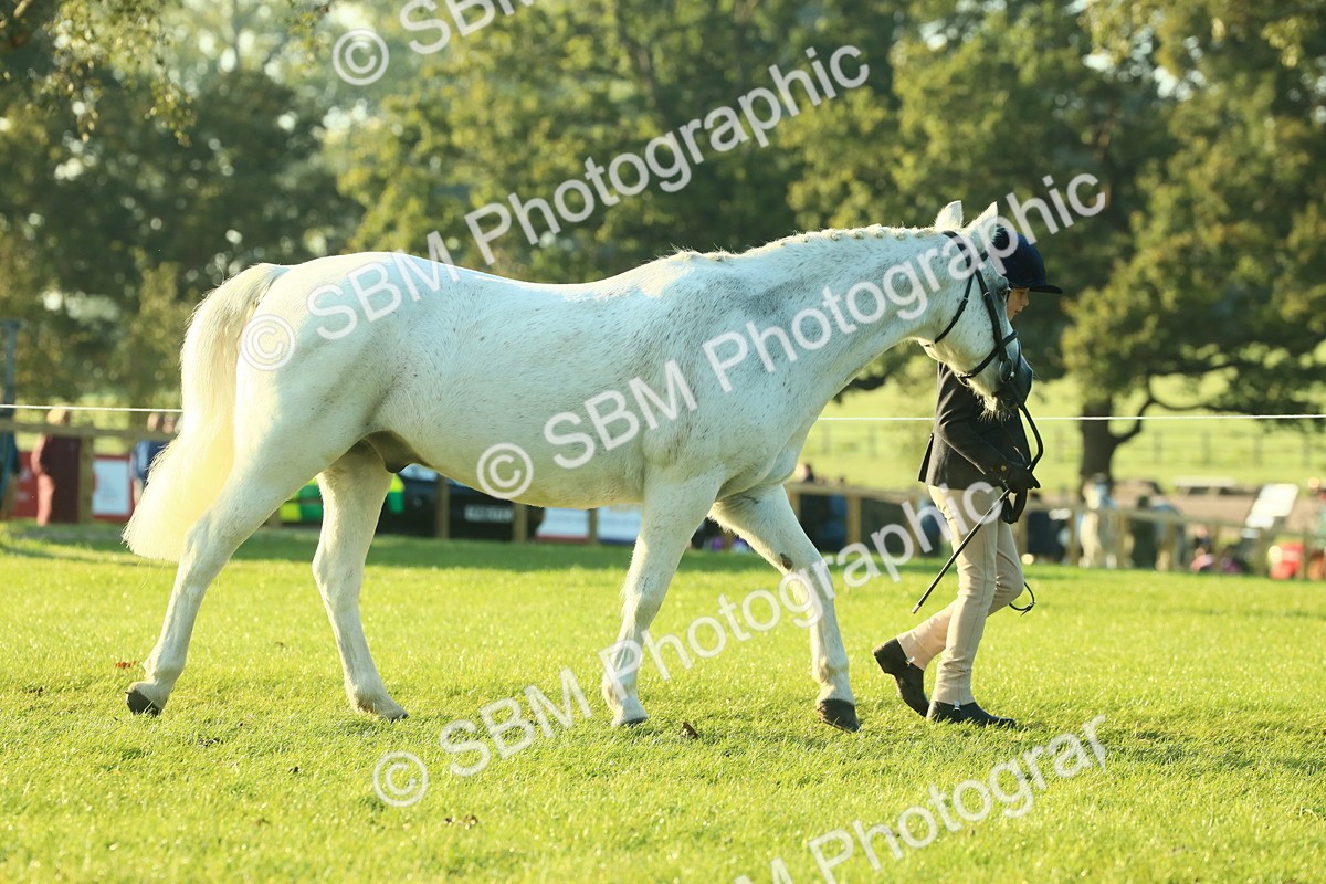SBM_57290 - S37 - Starters In Hand Showing