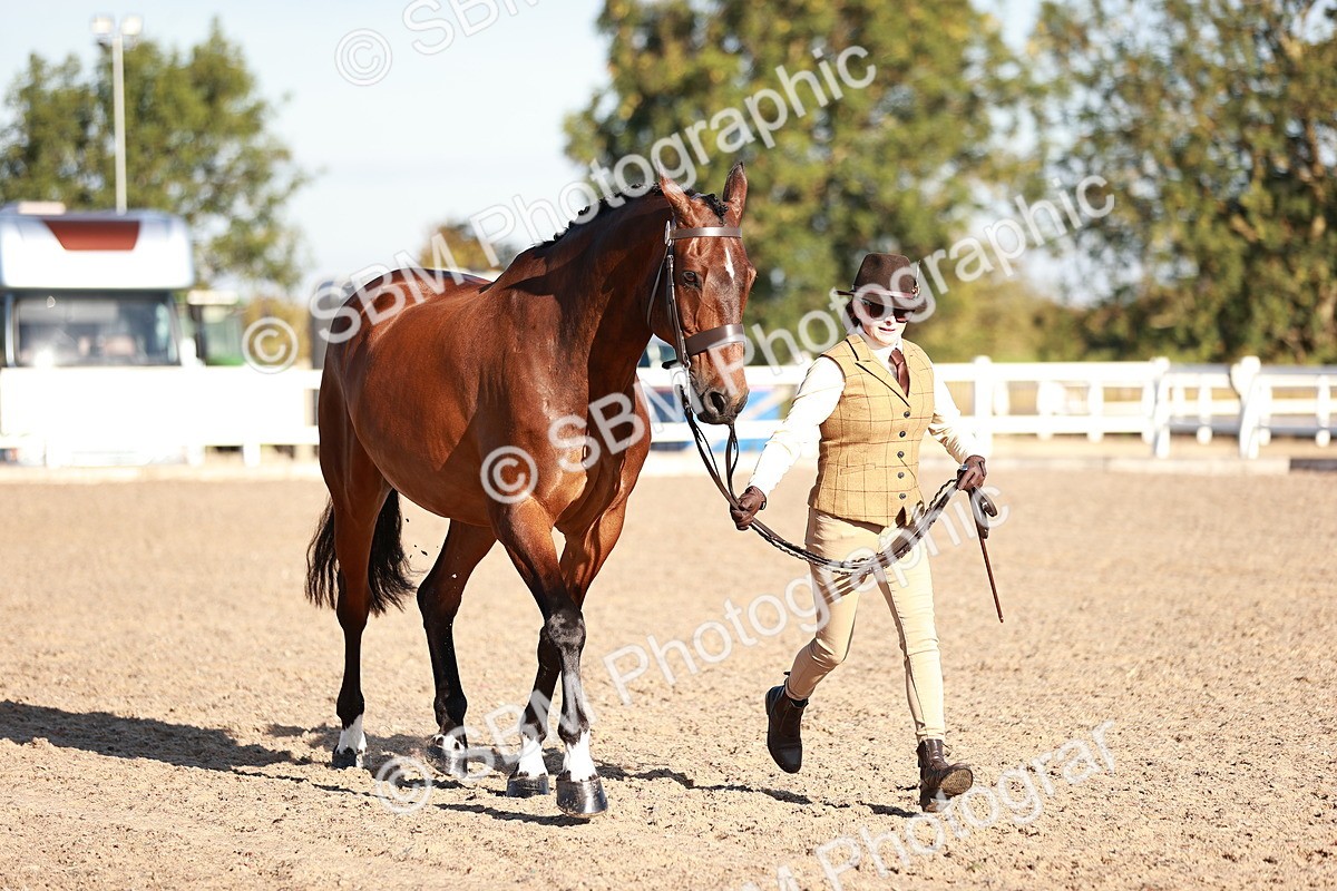 SBM_11215 - Class 401 - IH  Veteran horse