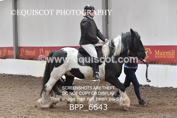 BPP_6643 - CLEAR ROUNDS