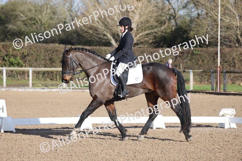 20260128-0231 - Class 3 - Novice 4