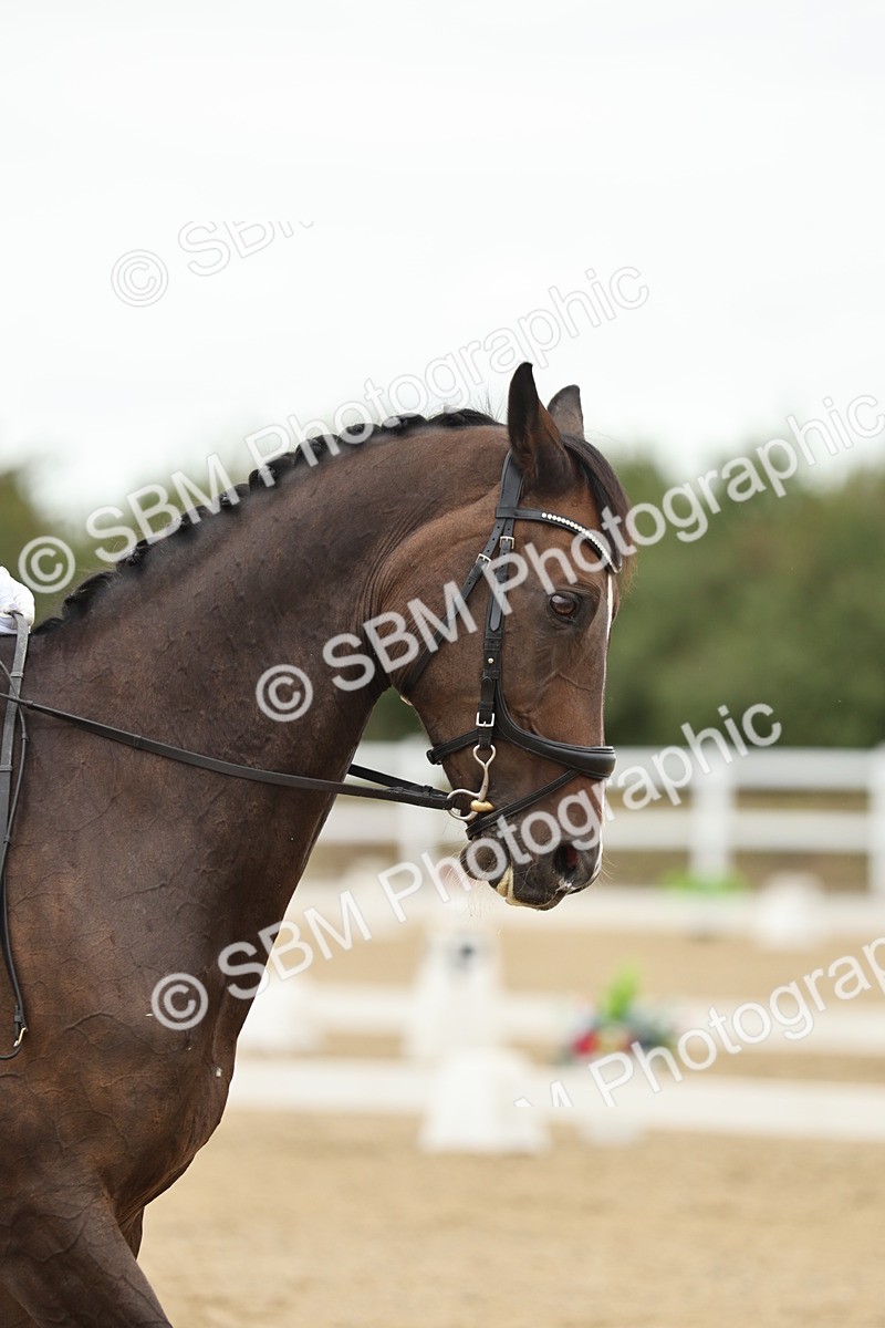 SBM_007225 - Class 25 - FEI PSG Bronze