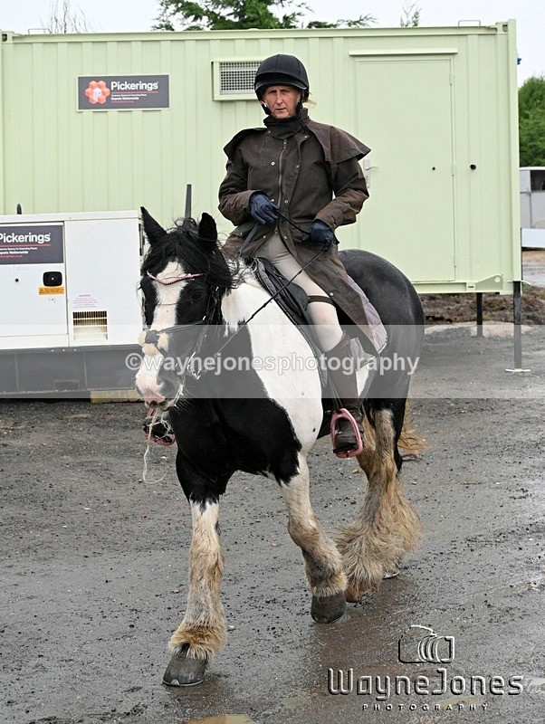 WJ7_8448 - Berks & Bucks Blackcroft Farm 20-10-24