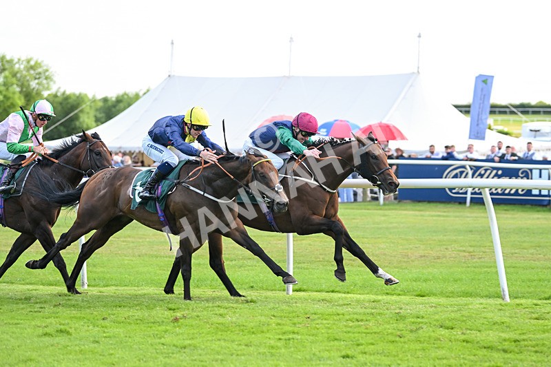 160725-Race 5-Chuti Manika-9302 - Race 5