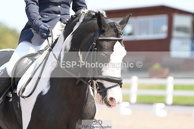 250817-124034-09155 - 114-Stacey.DonnisonPaddy.XIII