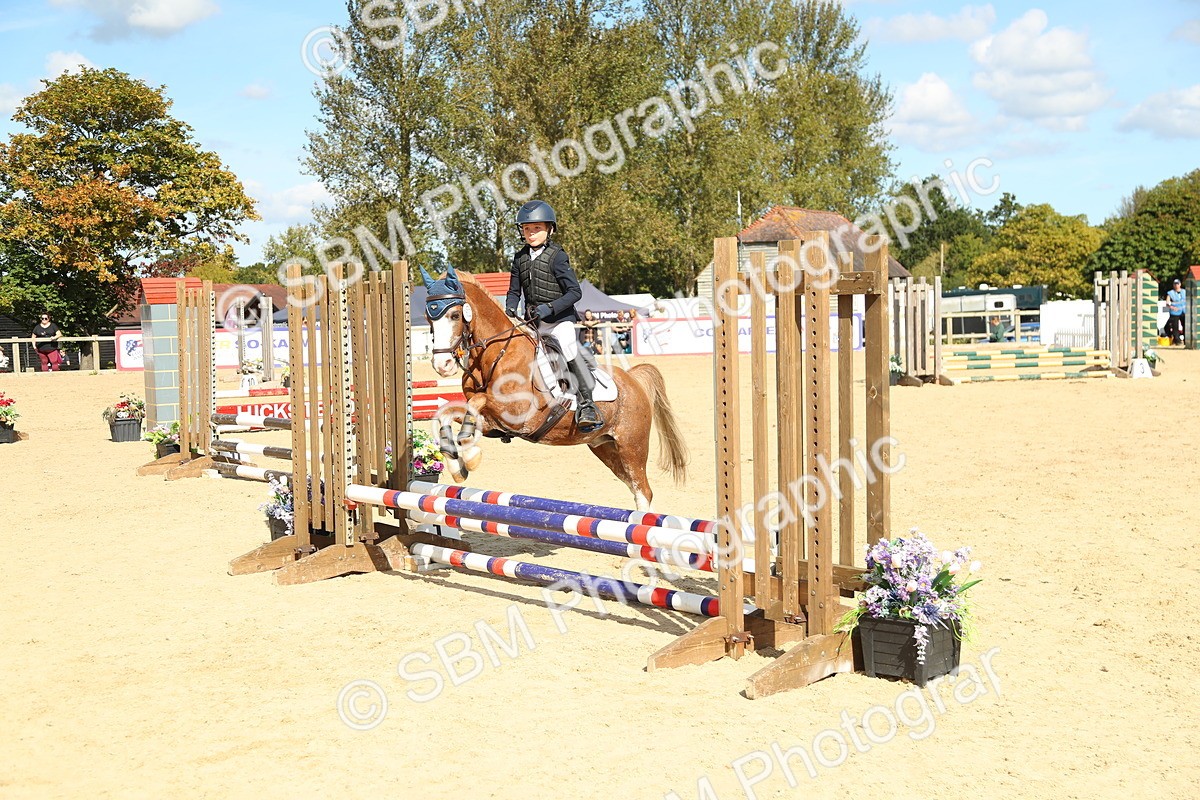 SBM_39450 - J6 - Junior Pony 55cm Championships