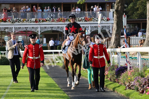 yr05092021r7-34 - Race 7 5.10pm Yorkshire Regiment Stakes