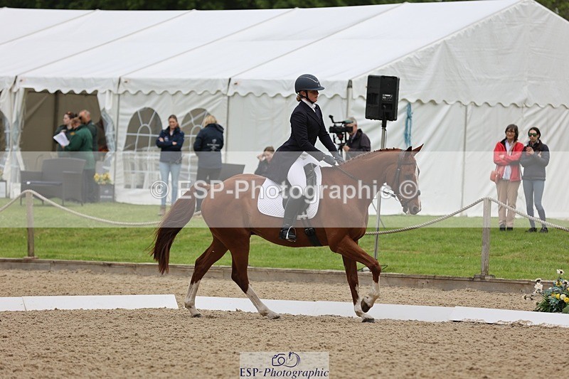 240524-090441-07051 - 251-MILESTONE_GOLD-Gaby_Bull