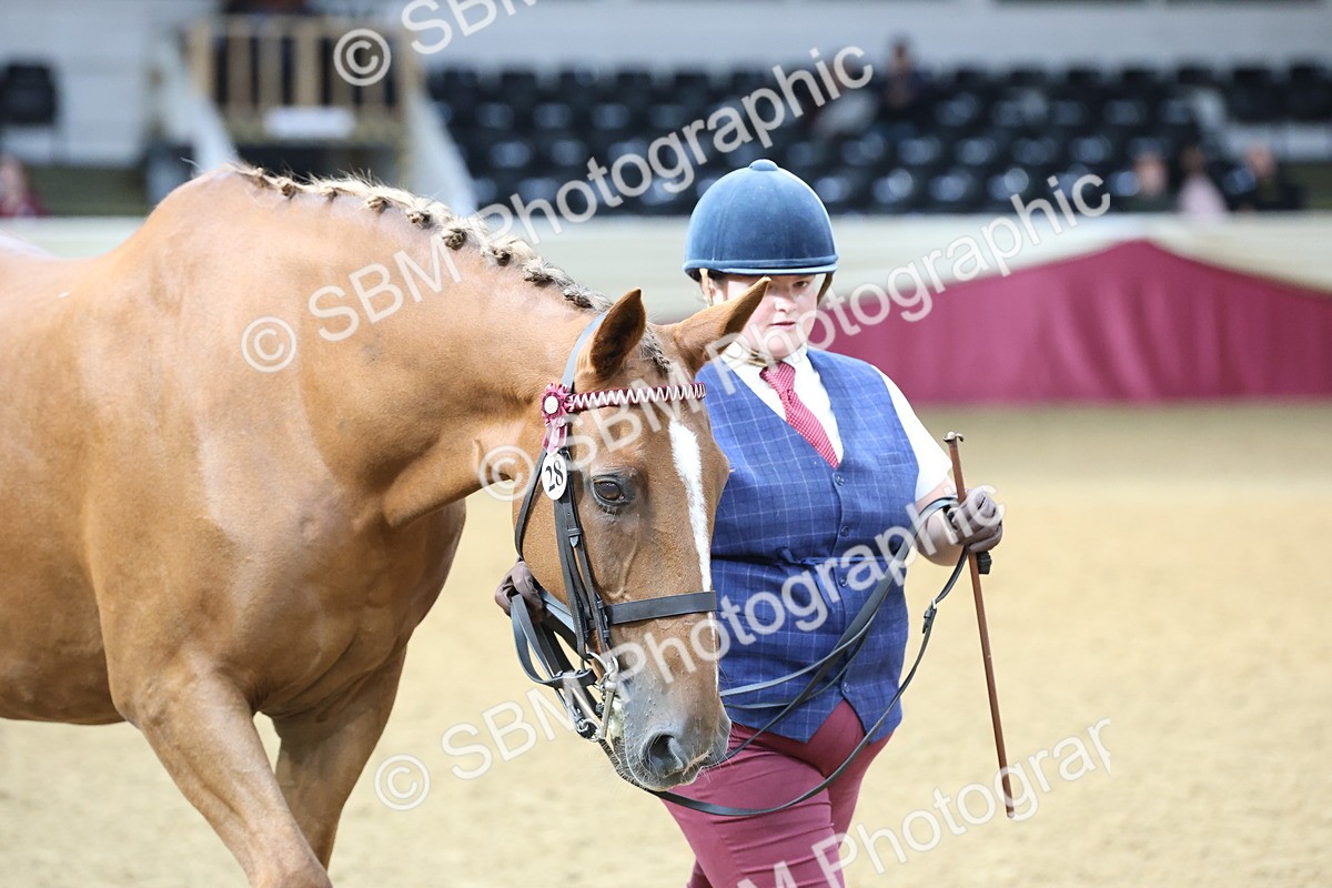 SBM_21884 - Class 901 - Supreme Final - IH  Diamond