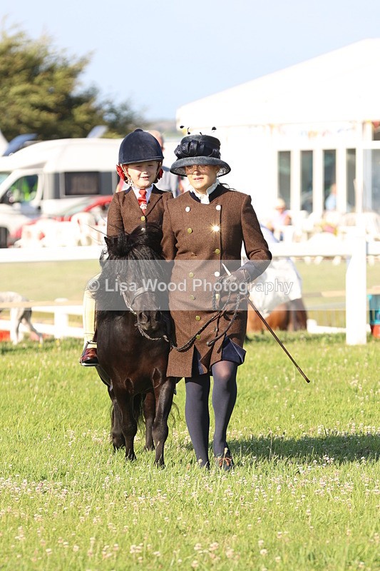 JPP_0873 - Class 16: Cornish Combination Leading Rein