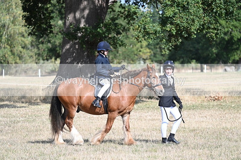 WJ7_2656 - Class 8 Ridden Tack & Turnout