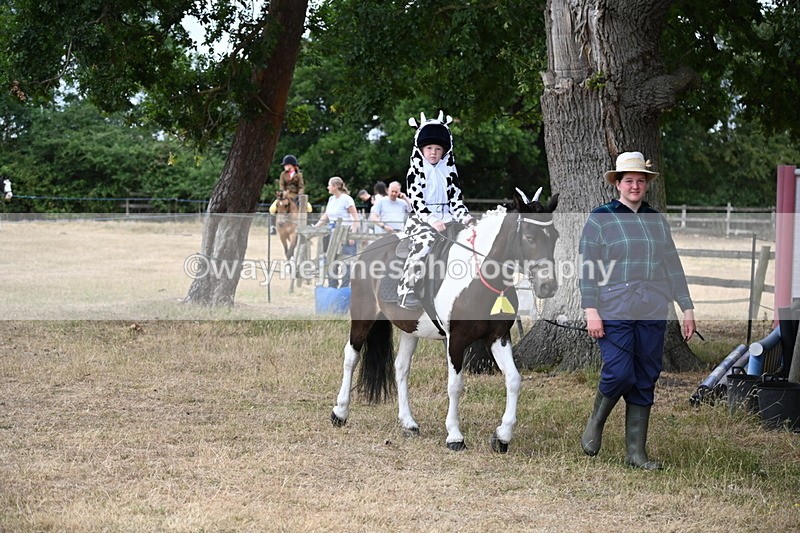 WJ6_8922 - Class 11 Fancy Dress