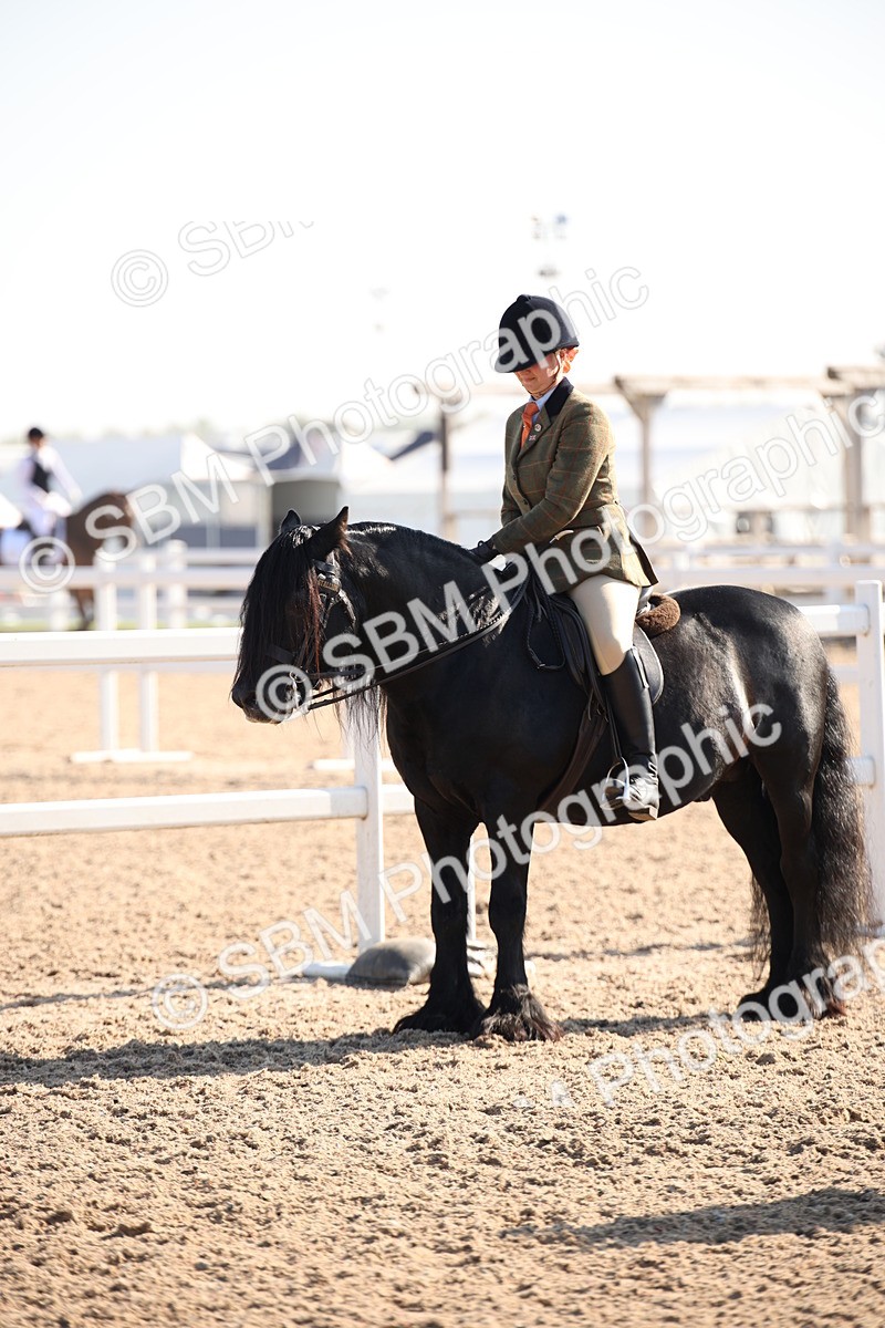 SBM_00755 - Class 14 Ridden M&M Wildcard