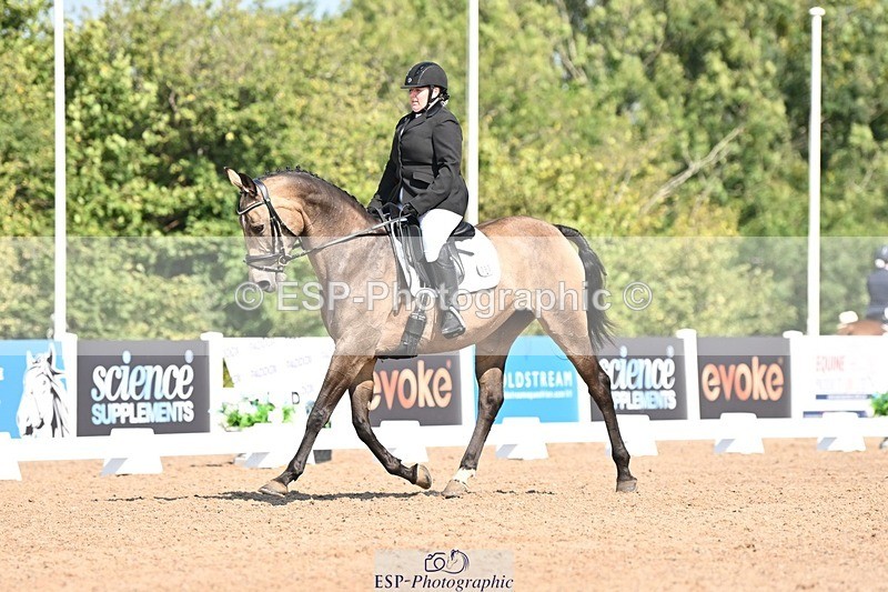 250816-105638-03256 - 093-Jocelyn.GilmoreSpring.lily