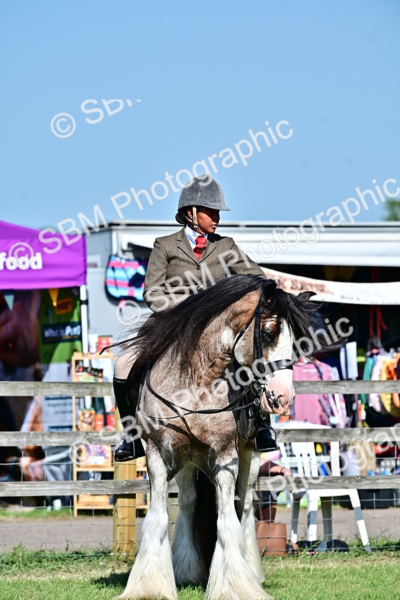 SBM_19445 - Class 101-102 - BSPS LIHS Performance Coloured Horse/Pony