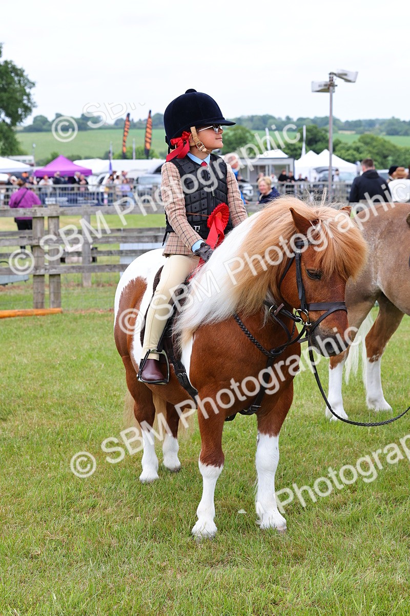 SBM_08402 - Class 42-43 - LIHS BSPS Heritage Working Sports Pony