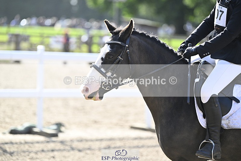 240823X-094914-14921 - 60cm R2 9.30 to 11.00